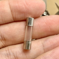 10 cái cầu chì ống thủy tinh 250V 1A kích thước 5x20mm