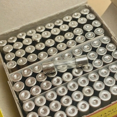 10 cái cầu chì ống thủy tinh 250V 1A kích thước 5x20mm