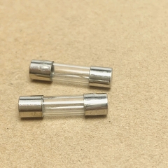 10 cái cầu chì ống thủy tinh 250V 2A kích thước 5x20mm