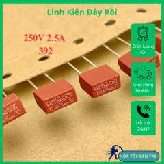 5 cái cầu chì thổi chậm 392 T2.5A 250V hình chữ nhật