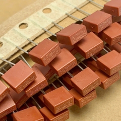 5 cái cầu chì thổi chậm 392 T2A 250V hình chữ nhật