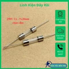 10 cái cầu chì ống thủy tinh 250V 1A chân cắm 5x20mm