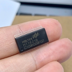 2 cái IC màn hình Micro HT1621 1621B HT1621B SSOP48 chính hãng HOLTEK