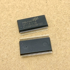 2 cái IC màn hình Micro HT1621 1621B HT1621B SSOP48 chính hãng HOLTEK