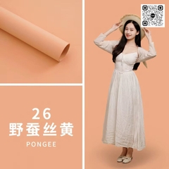 Phông Giấy 2.7M x 11M Chất Lượng <230gsm>
