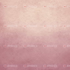 Phông Vải Canvas Cao Cấp E.PRO – Lựa Chọn Số 1 Cho Studio Chuyên Nghiệp