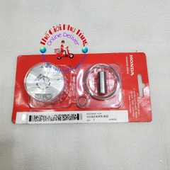 BỘ PISTON BẠC AB 125, PCX COS 1