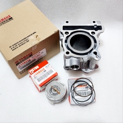 NÒNG PISTON BẠC LUVIAS, NO5