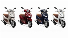 Dàn sơn Lead 125 4Val (2022-2024) (16 chi tiết)