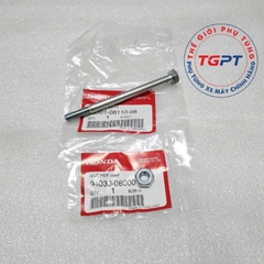 Cặp ốc treo máy xe Wave thái 110 có tán /95301-08110-08/ 95301-08100-00/ 94030-08000(2)