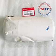 Mặt nạ xe Dream lùn /64310-GN5-730ZE/64310-GN5-730ZA