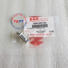 Ốc tăng cam xe Raider fi, xe Satria fi, xe GSX /12836-12K01-000