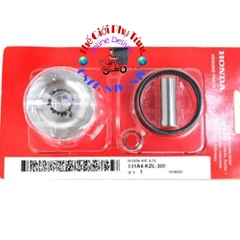 BỘ PISTON BẠC VISION CŨ COS 3