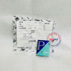 Tem nhãn piaggio, Logo mặt nạ Vespa LX, GTS, Primavera - 576464