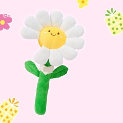 Hoa bông trắng mặt cười