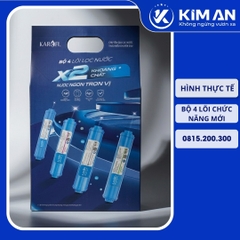 Bộ 4 Lõi Chức Năng Karofi (Mẫu Mới - T33, Mi, Bi, Nano)
