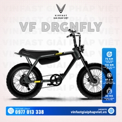 DRGNFLY