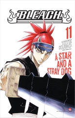 Bleach - Tập 11