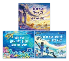 Combo Ngủ ấm ngủ êm (3 cuốn)