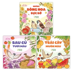 Combo Thế giới trong mắt bé (3 cuốn)