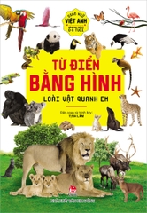 Combo Từ điển bằng hình - Song ngữ Việt - Anh (2 cuốn)