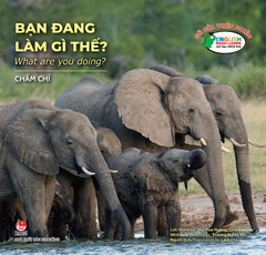 Gõ cửa thiên nhiên - Bạn đang làm gì thế? - What are you doing?