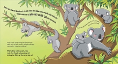 Thế giới động vật - Gấu Koala biết chơi đàn ghi-ta không ?