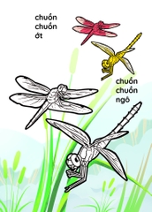 Nào mình cùng tô màu nhé ! - Côn trùng