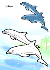 Nào mình cùng tô màu nhé ! - Đại dương