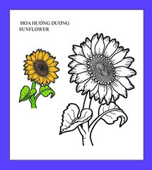 Họa sĩ nhí tô màu - Hoa