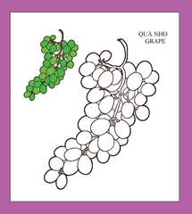 Họa sĩ nhí tô màu - Trái cây