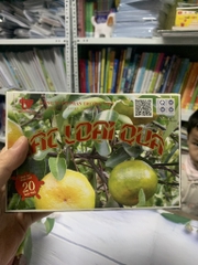 Bộ tranh có gắn đế hoa quả