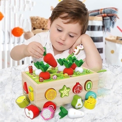 xe kéo trồng cà rốt