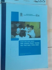 Giáo dục hòa nhập trẻ chậm phát triển trí tuệ bậc tiểu học