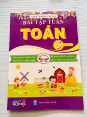 Bài tập tuần toán kỳ 2 lớp 5 Cánh Diều