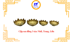 Cặp sen đồng trơn truyền thống k