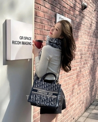 Túi Dior Small Book Tote Oblique Jacquard (Blue)