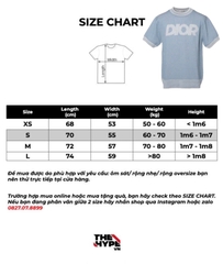 Áo Thun Dior Italic (Blue) [Mirror Quality]