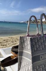 DIOR BAG - Túi Tote Dior Small Oblique Embroidery (Grey) [Mirror Quality]