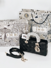 Túi Dior Lady D-Joy (Black) [Mirror Quality]