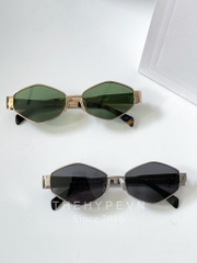 CELINE SUNGLASS - Kính râm Celine Triomphe Geometric Metal & Acetate (SILVER / SMOKE) [Mirror Quality]