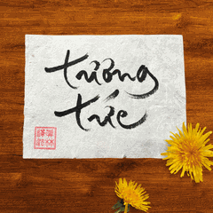 Thư Pháp gốc Tiếng Việt 15x20