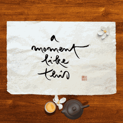 Thư Pháp gốc Tiếng Việt và Tiếng Anh 40x60