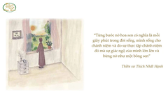 TỪNG BƯỚC NỞ HOA SEN