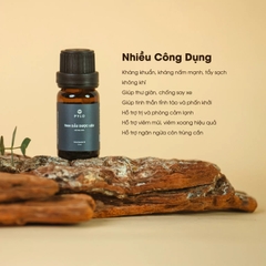 TINH DẦU DƯỢC LIỆU PYLO BẢO VỆ SỨC KHOẺ