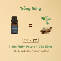 TINH DẦU DƯỢC LIỆU PYLO BẢO VỆ SỨC KHOẺ