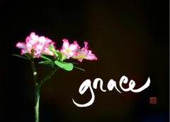 NAM CHÂM THƯ PHÁP DÁN TỦ LẠNH