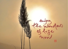 NAM CHÂM THƯ PHÁP DÁN TỦ LẠNH