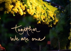 NAM CHÂM THƯ PHÁP DÁN TỦ LẠNH