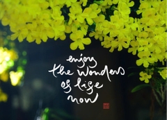 NAM CHÂM THƯ PHÁP DÁN TỦ LẠNH